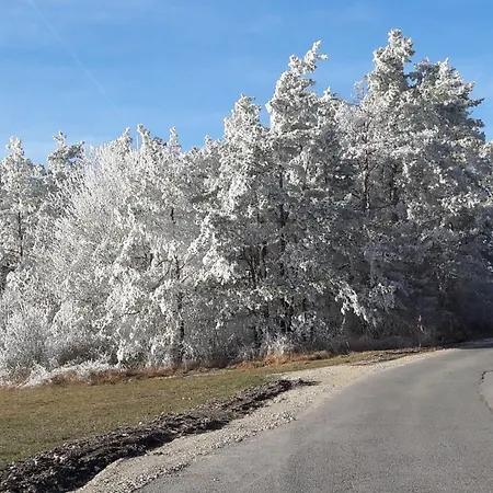 Bayerlipp Apartman *